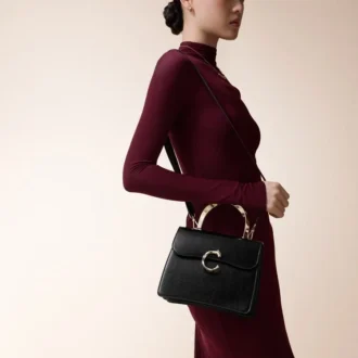 Kleine Tasche, Panthere C