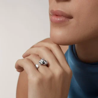 Panthere De Cartier Ring – Weißgold, Tsavorit-Granate, Onyx – Cartier
