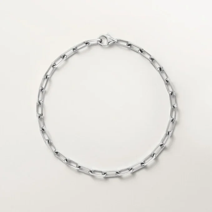 Santos de Cartier Armband, Kette, kleines Modell